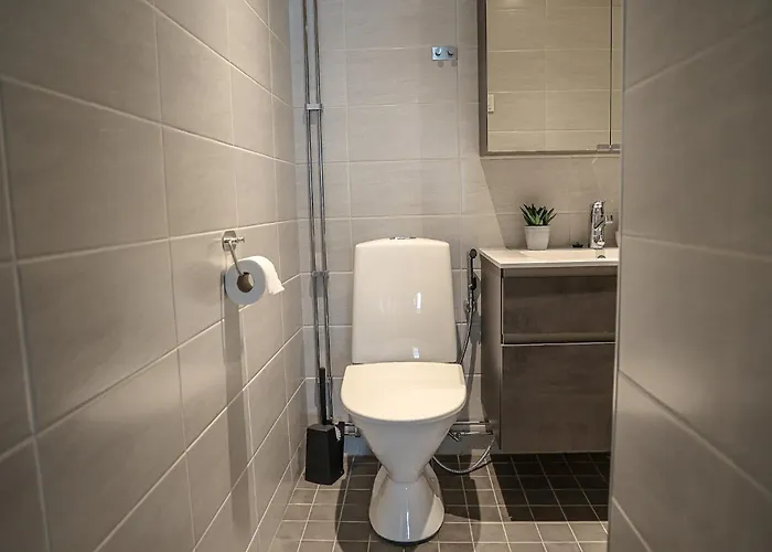 Aurora River By Booklapland