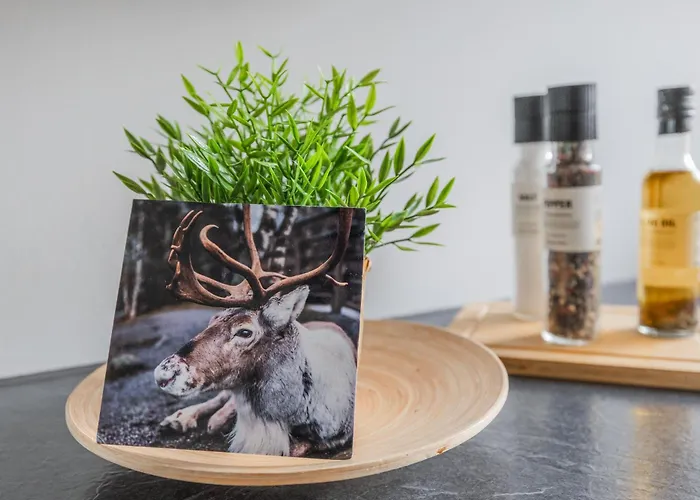 Aurora River By Booklapland Apartment